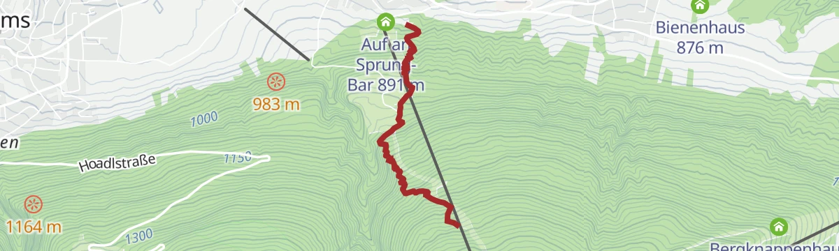 Route map: The Rough One